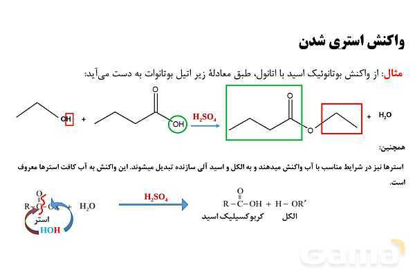 پاورپوینت آموزش واکنش استری شدن - پیش نمایش
