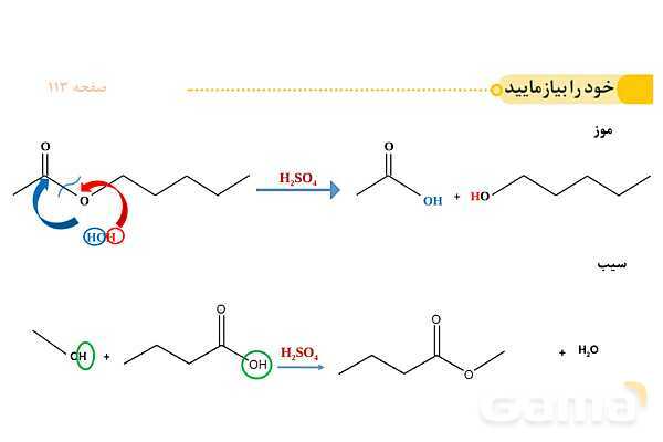 پاورپوینت آموزش واکنش استری شدن - پیش نمایش