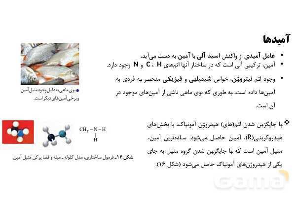 پاورپوینت آموزش گروه عاملی آمید و آمین - پیش نمایش