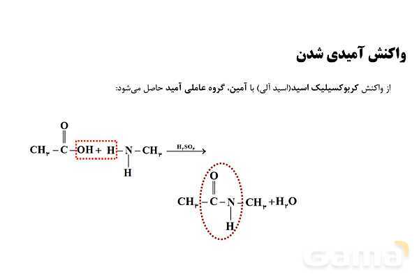 پاورپوینت آموزش گروه عاملی آمید و آمین - پیش نمایش
