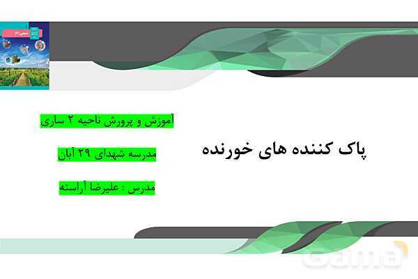 پاورپوینت آموزشی پاک کننده‌های خورنده - پیش نمایش