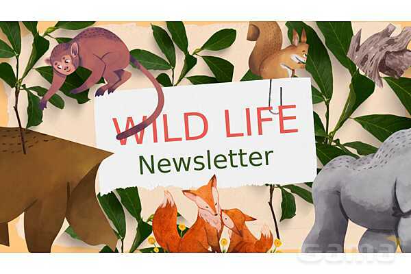 پاورپوینت درس 1 زبان دهم | واژگان و گرامر درس Saving Nature- پیش نمایش