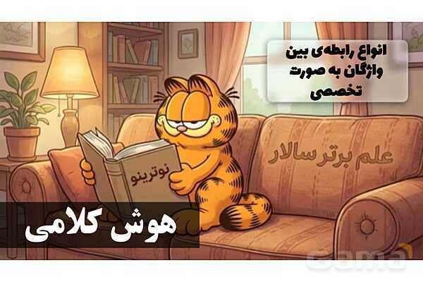 پاورپوینت انواع روابط بین واژگان (تَضَمُّن، تضاد، ترادف، معادل یابی، ترکیب، تناسب و ...)- پیش نمایش