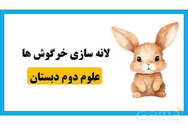 پاورپوینت تحقیق در مورد لانه سازی خرگوش | علوم کلاس دوم - پیش نمایش