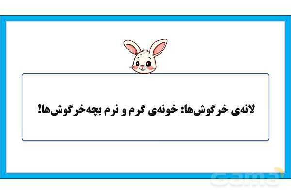 پاورپوینت تحقیق در مورد لانه سازی خرگوش | علوم کلاس دوم - پیش نمایش