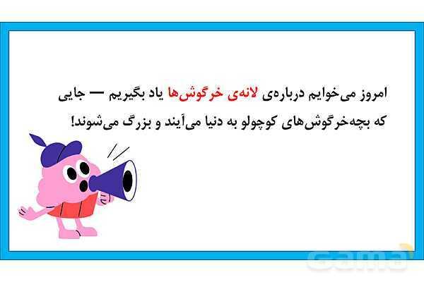 پاورپوینت تحقیق در مورد لانه سازی خرگوش | علوم کلاس دوم - پیش نمایش