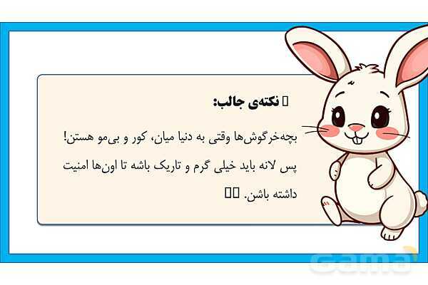 پاورپوینت تحقیق در مورد لانه سازی خرگوش | علوم کلاس دوم - پیش نمایش