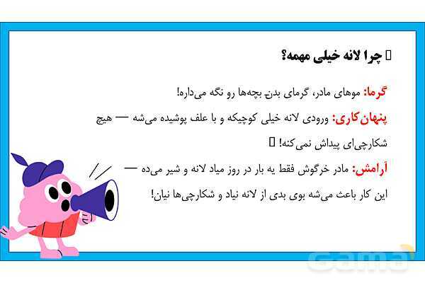 پاورپوینت تحقیق در مورد لانه سازی خرگوش | علوم کلاس دوم - پیش نمایش