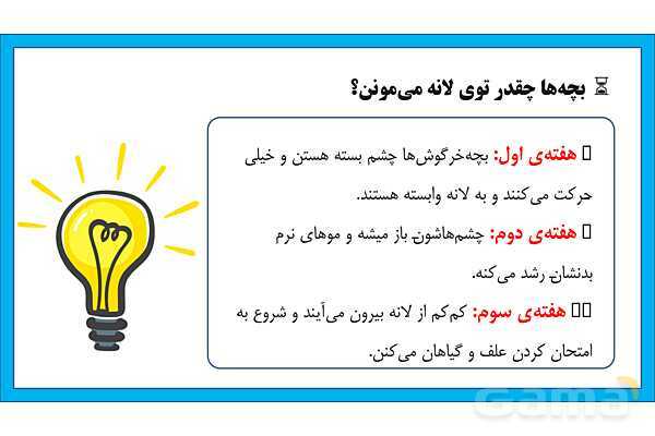 پاورپوینت تحقیق در مورد لانه سازی خرگوش | علوم کلاس دوم - پیش نمایش