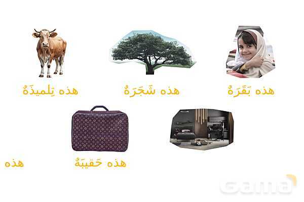 پاوپوینت عربی هفتم آموزش و حل تمارین درس 2- پیش نمایش