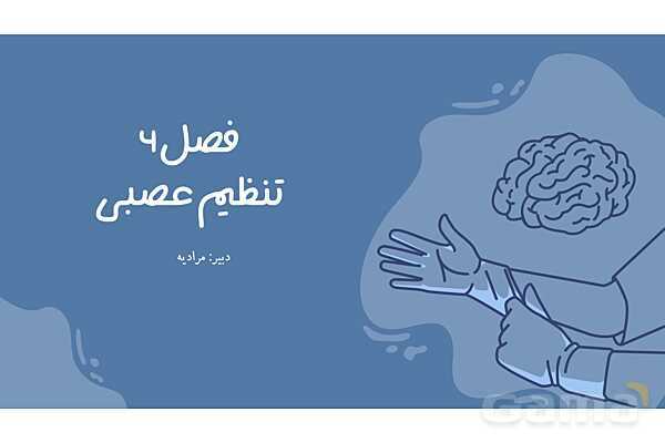 پاورپوینت آموزش فصل 4 علوم هشتم: تنظیم عصبی- پیش نمایش