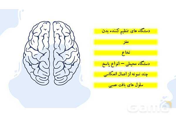 پاورپوینت آموزش فصل 4 علوم هشتم: تنظیم عصبی- پیش نمایش