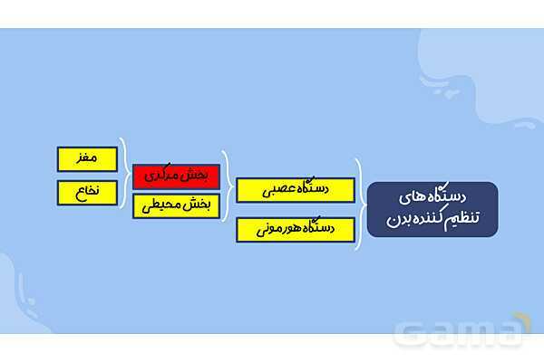 پاورپوینت آموزش فصل 4 علوم هشتم: تنظیم عصبی- پیش نمایش
