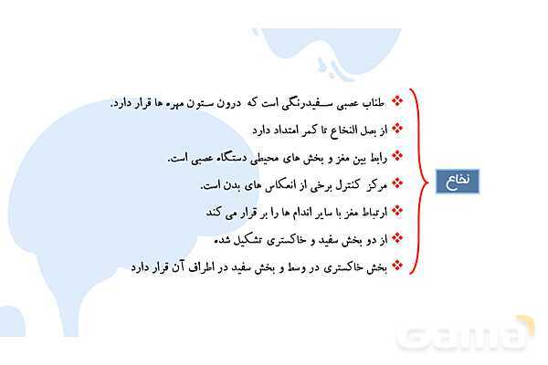 پاورپوینت آموزش فصل 4 علوم هشتم: تنظیم عصبی- پیش نمایش