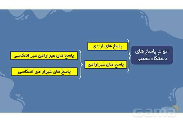 پاورپوینت آموزش فصل 4 علوم هشتم: تنظیم عصبی- پیش نمایش
