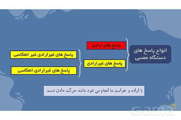 پاورپوینت آموزش فصل 4 علوم هشتم: تنظیم عصبی- پیش نمایش