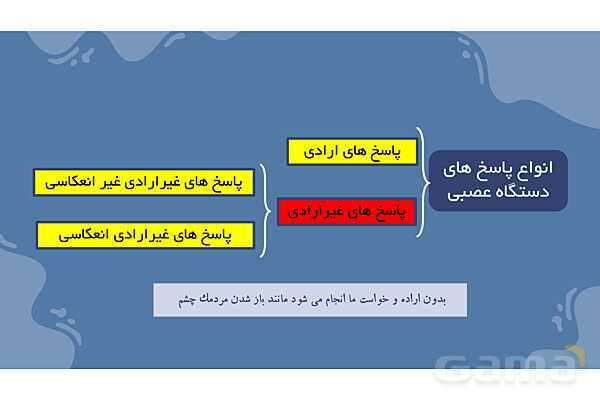 پاورپوینت آموزش فصل 4 علوم هشتم: تنظیم عصبی- پیش نمایش