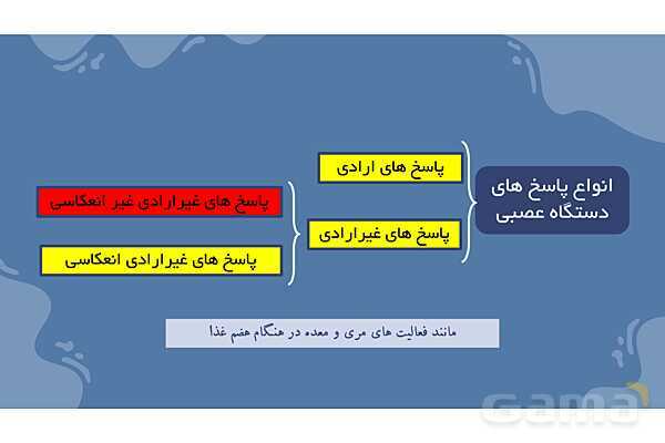 پاورپوینت آموزش فصل 4 علوم هشتم: تنظیم عصبی- پیش نمایش