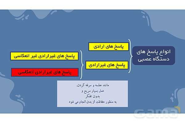 پاورپوینت آموزش فصل 4 علوم هشتم: تنظیم عصبی- پیش نمایش