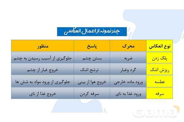پاورپوینت آموزش فصل 4 علوم هشتم: تنظیم عصبی- پیش نمایش