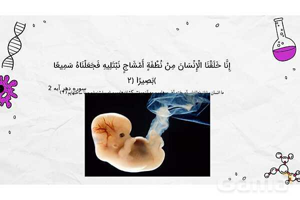 پاورپوینت فصل یازدهم علوم هفتم؛ یاخته و سازمان بندی آن- پیش نمایش