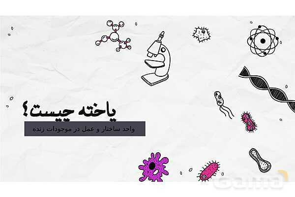 پاورپوینت فصل یازدهم علوم هفتم؛ یاخته و سازمان بندی آن- پیش نمایش