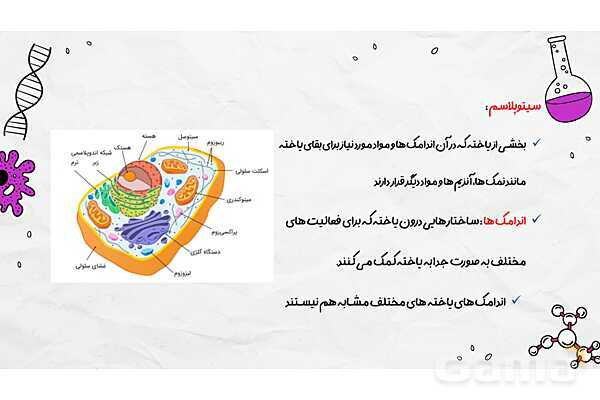 پاورپوینت فصل یازدهم علوم هفتم؛ یاخته و سازمان بندی آن- پیش نمایش