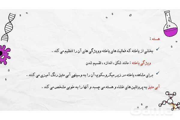پاورپوینت فصل یازدهم علوم هفتم؛ یاخته و سازمان بندی آن- پیش نمایش