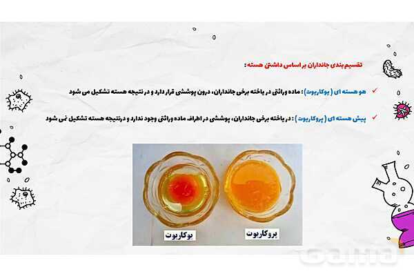 پاورپوینت فصل یازدهم علوم هفتم؛ یاخته و سازمان بندی آن- پیش نمایش