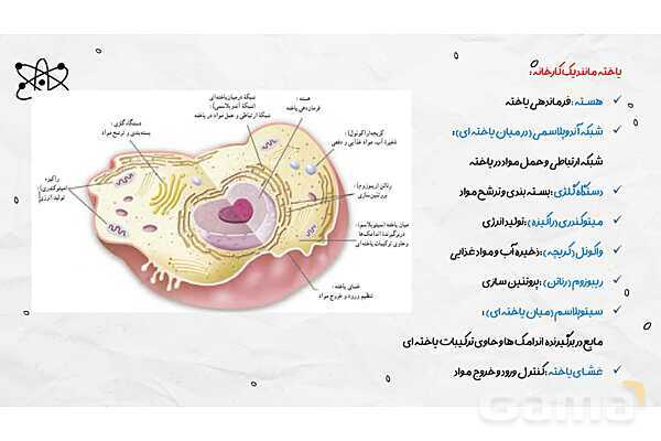 پاورپوینت فصل یازدهم علوم هفتم؛ یاخته و سازمان بندی آن- پیش نمایش
