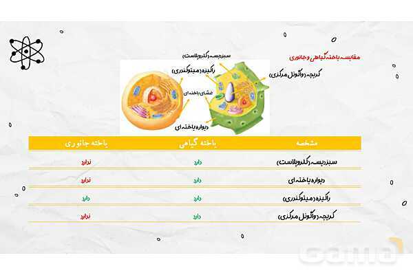 پاورپوینت فصل یازدهم علوم هفتم؛ یاخته و سازمان بندی آن- پیش نمایش