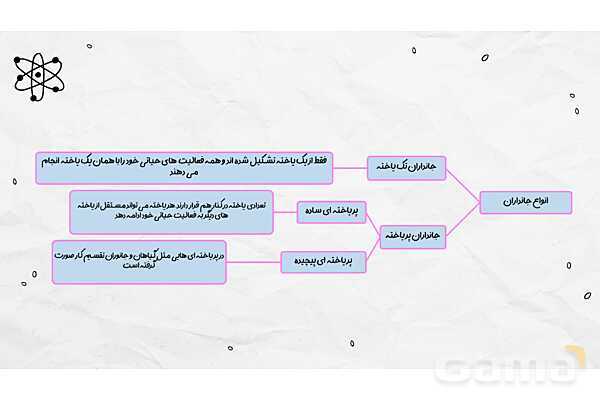 پاورپوینت فصل یازدهم علوم هفتم؛ یاخته و سازمان بندی آن- پیش نمایش