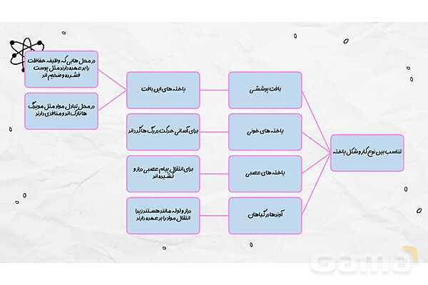 پاورپوینت فصل یازدهم علوم هفتم؛ یاخته و سازمان بندی آن- پیش نمایش