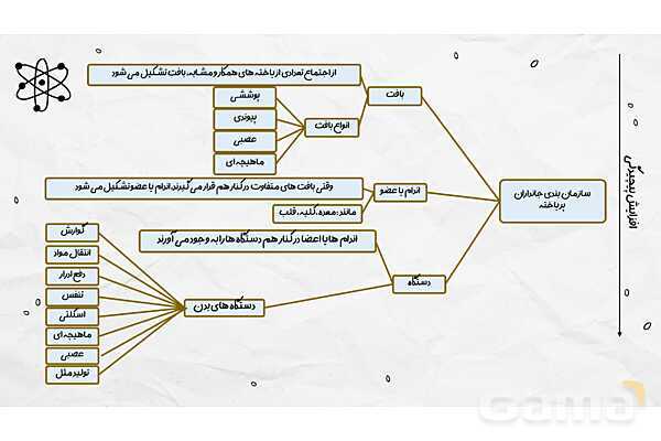 پاورپوینت فصل یازدهم علوم هفتم؛ یاخته و سازمان بندی آن- پیش نمایش