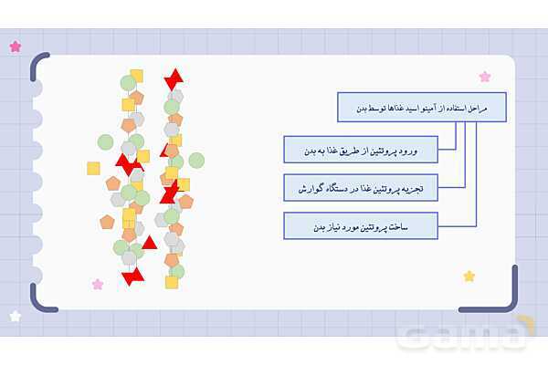  پاورپوینت فصل دوازدهم علوم هفتم؛ سفره سلامت- پیش نمایش