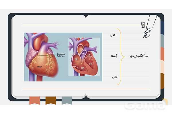 پاورپوینت فصل چهاردهم علوم هفتم؛ گردش مواد- پیش نمایش