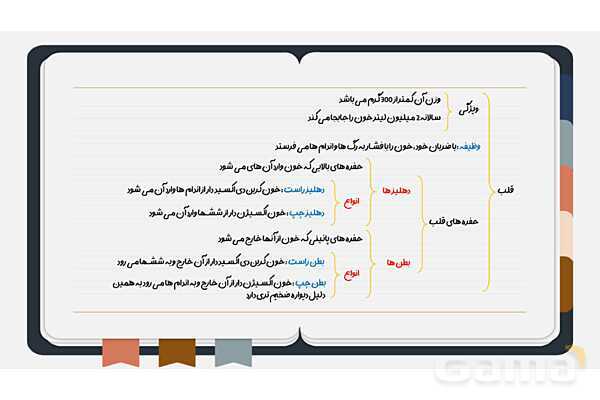 پاورپوینت فصل چهاردهم علوم هفتم؛ گردش مواد- پیش نمایش