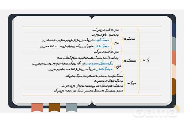 پاورپوینت فصل چهاردهم علوم هفتم؛ گردش مواد- پیش نمایش