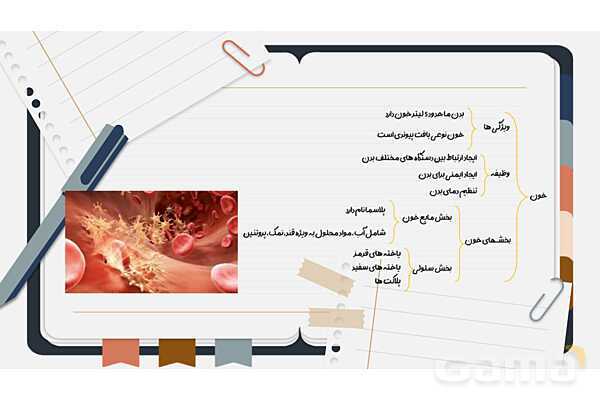 پاورپوینت فصل چهاردهم علوم هفتم؛ گردش مواد- پیش نمایش