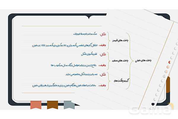 پاورپوینت فصل چهاردهم علوم هفتم؛ گردش مواد- پیش نمایش