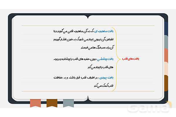 پاورپوینت فصل چهاردهم علوم هفتم؛ گردش مواد- پیش نمایش