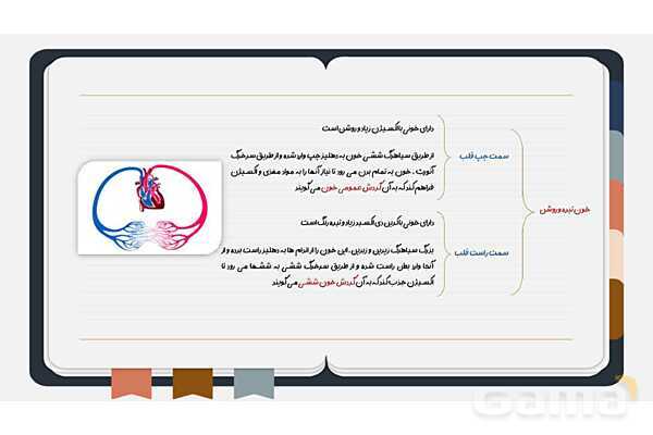 پاورپوینت فصل چهاردهم علوم هفتم؛ گردش مواد- پیش نمایش