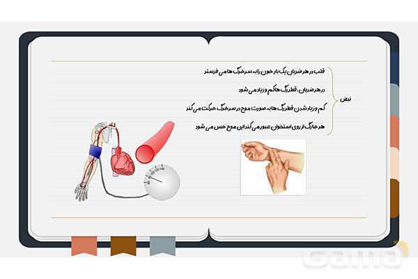 پاورپوینت فصل چهاردهم علوم هفتم؛ گردش مواد- پیش نمایش