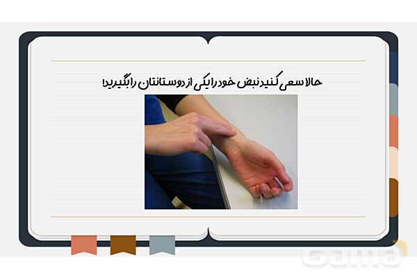 پاورپوینت فصل چهاردهم علوم هفتم؛ گردش مواد- پیش نمایش