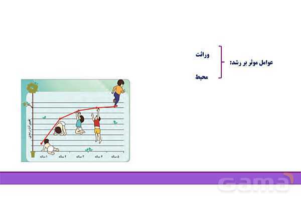 پاور روان شناسی یازدهم درس 2: روان شناسی رشد - پیش نمایش