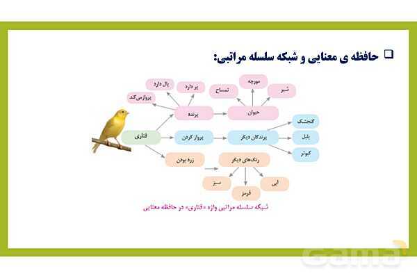 پاور روان شناسی یازدهم درس 4: حافظه و علل فراموشی - پیش نمایش