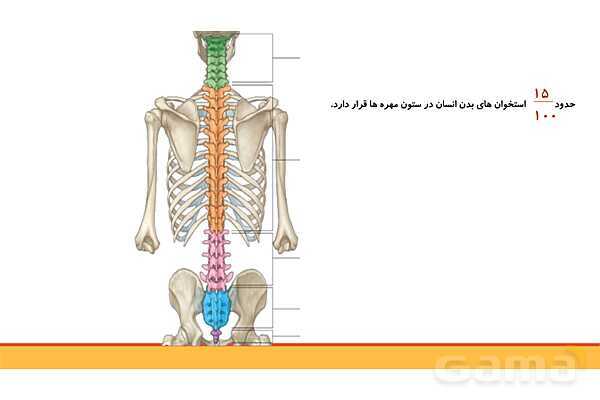 پاورپوینت فصل 5 ریاضی چهارم: عدد مخلوط و عدد اعشاری- پیش نمایش