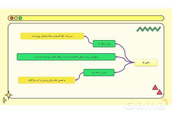 پاور فصل چهاردهم علوم نهم: جانوران مهره دار- پیش نمایش