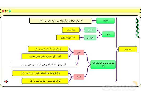 پاور فصل چهاردهم علوم نهم: جانوران مهره دار- پیش نمایش