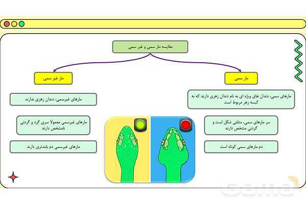 پاور فصل چهاردهم علوم نهم: جانوران مهره دار- پیش نمایش